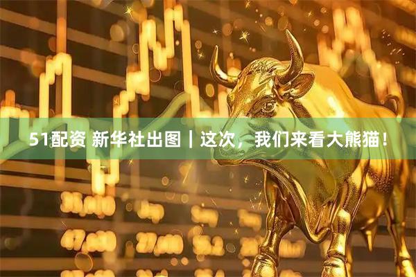 51配资 新华社出图｜这次，我们来看大熊猫！