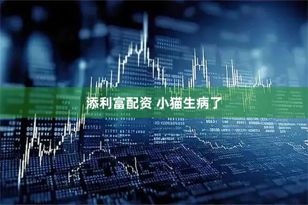 添利富配资 小猫生病了