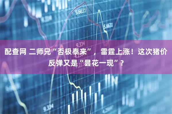 配查网 二师兄“否极泰来”，雷霆上涨！这次猪价反弹又是“昙花一现”？