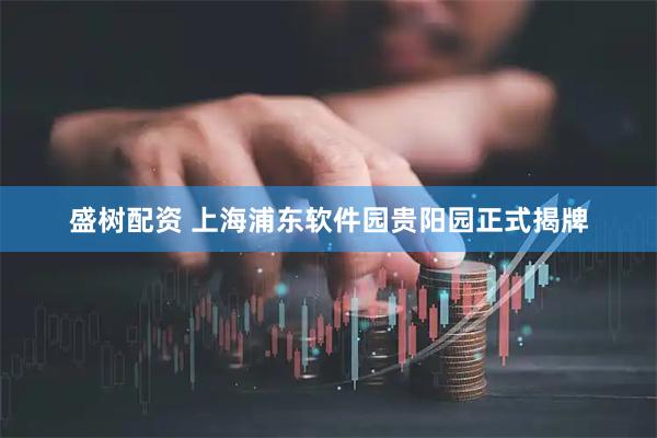 盛树配资 上海浦东软件园贵阳园正式揭牌